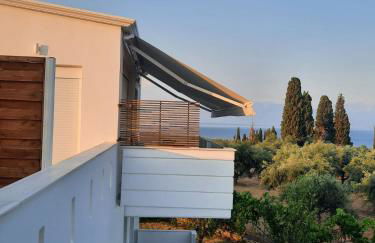 Blue & Green - Foto 12