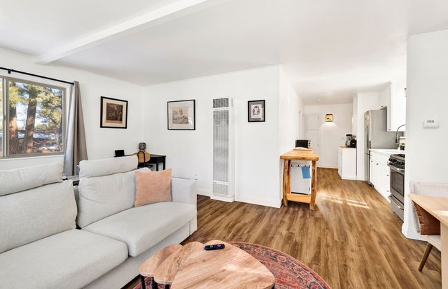 Sugar Bear Crossing #2496 - Foto 7