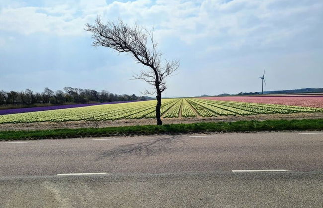 Sunshine Comfortable Holiday Residence - Foto 25