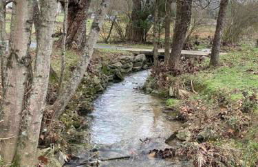 Farmhouse with game room, fire pit and creek - Foto 19