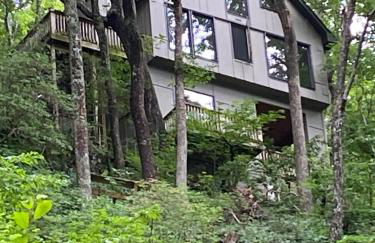 Waterfall Overlook at Bearfoot Falls - Foto 15