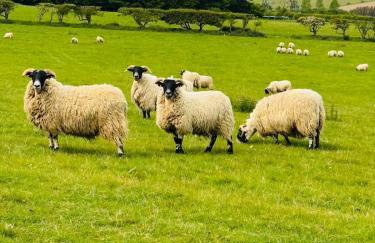 Turnpike House - Foto 79