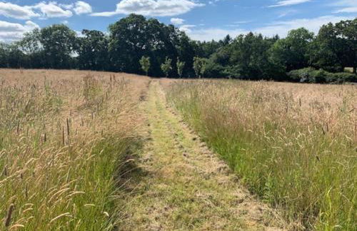 The Coach House - Photo 52