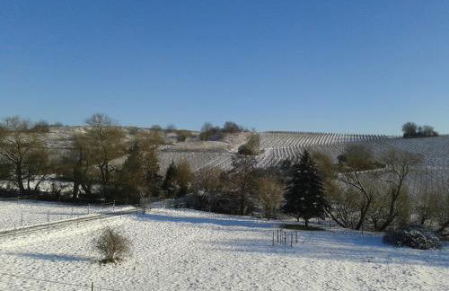 Weingut Hans Bausch - Foto 18