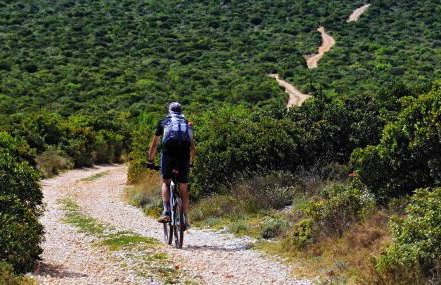 Apartments Barbara - Foto 39