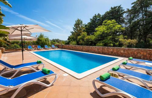 Casa Dos Cedros - Foto 60