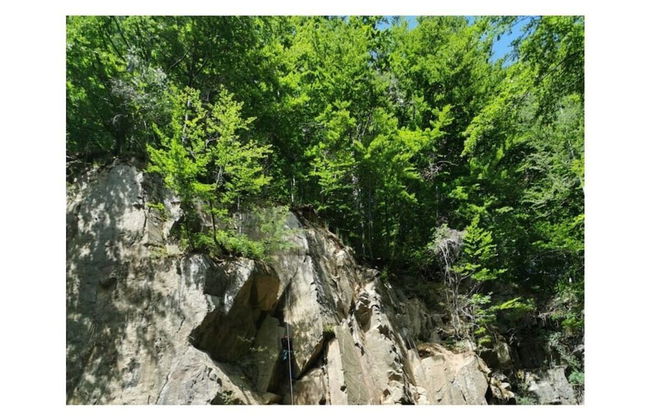 Panoramic View of Lake Harz - Photo 2