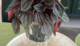 La casa di Flo - Foto 4, furniture