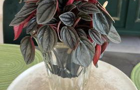 La casa di Flo - Foto 4