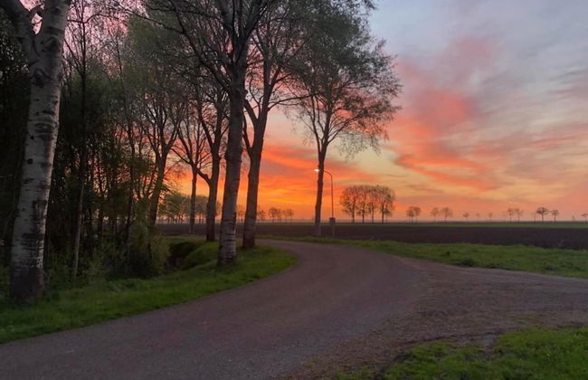 Tranquil Stay in Drenthe - Photo 24