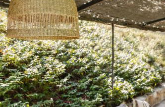 Monteaperto - Foto 16