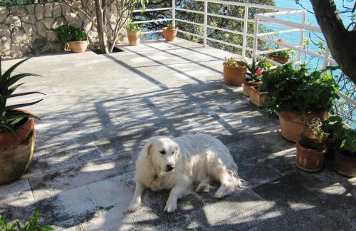 House by the sea - Foto 44