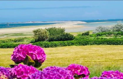 La Maison Bleue - 300m de la mer - Foto 2