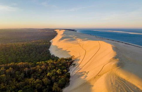 L'escale Arcachonnaise - Foto 24