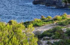 Nova Serenity - Novaglie, Salento - Foto 4