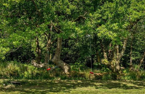 Tent 1 Deerland - Ukc4716 - Foto 21