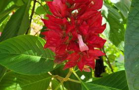 Sítio das Valquírias - Foto 24