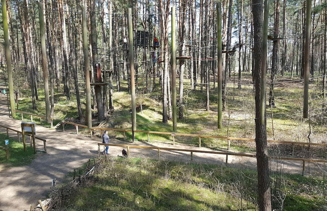 Haus Waldidyll am See 1 - Foto 39