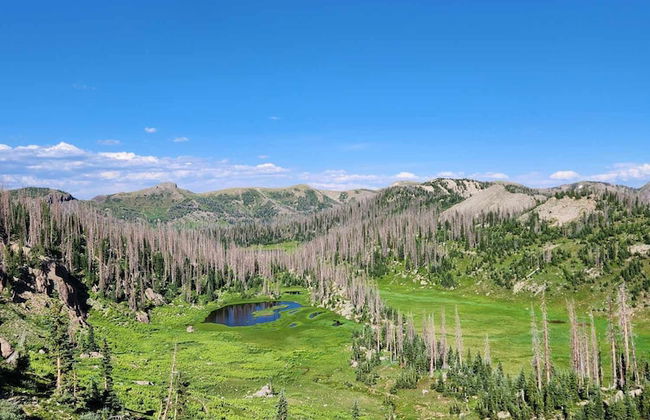 Backcountry Outfitters - Foto 17