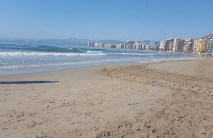 Urbanización Cullera Park - Carmen y Jose - Foto 4