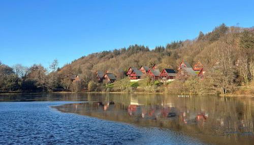 Thistle Dubh "Doo" - Foto 4