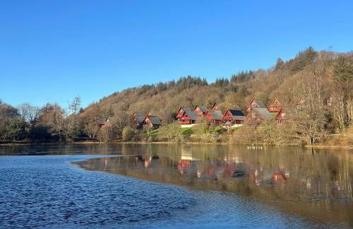 Thistle Dubh "Doo" - Foto 4