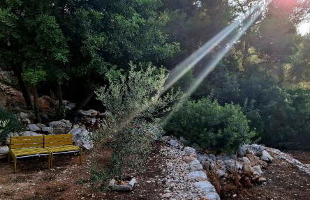 Guest House El Angelito de Olivas - Foto 17