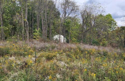 Bunny Bungalow Romantic Getaway in a Spacious Geodome - Foto 47