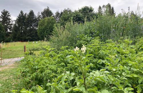 Öko-Fachwerkhaus am Schwarzwald - Foto 26