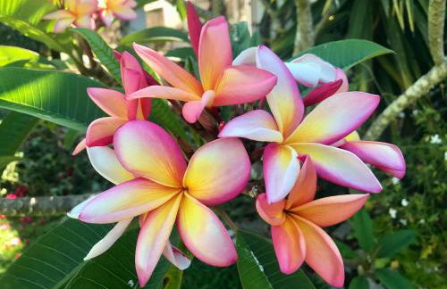 Finca Meerlust - Las Ballenas - Foto 63