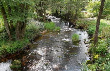 Chalet Les Noisetiers - Foto 20