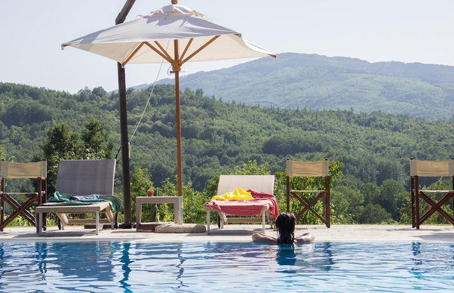 La Rosa Nel Bicchiere - Foto 14