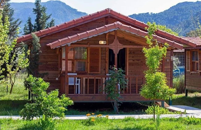 La Maison Hotel Çıralı - Foto 2