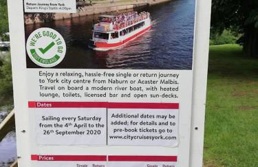 Rosehips at Kerensa, Naburn - Foto 21