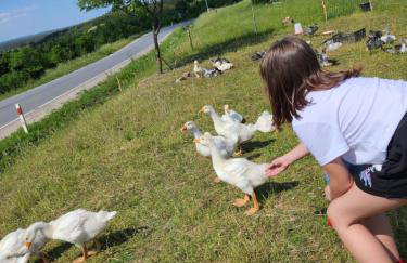 Ranczo na Kaszubach - Foto 22