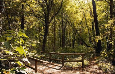 Sonne & Ruhe, Apartment mit Terrasse im Herzen Hannovers - Foto 20