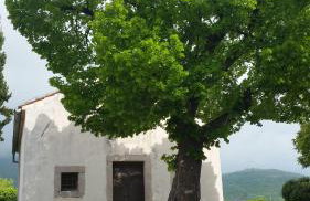 Apartments Renata - Brseč - Foto 4