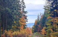 Dom Gościnny Zarembianka - Foto 62