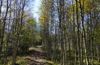 Ferienhaus am Erzgebirgskamm - Foto 24