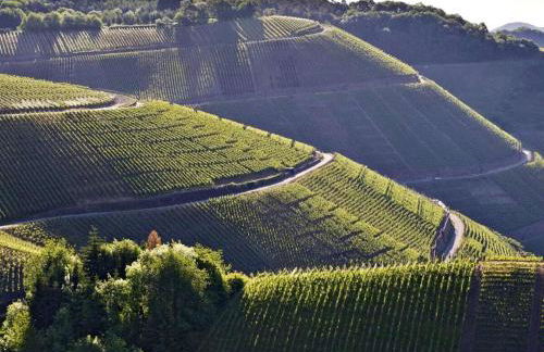 Villa Näkel-Hardtberg - Foto 19