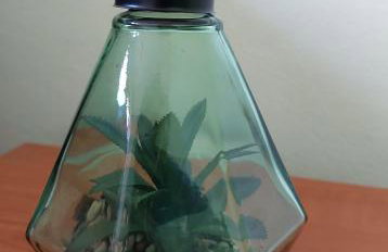 Holiday Home Čančarević - Foto 19