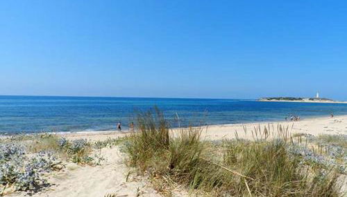 DADA CAÑOS - Foto 3