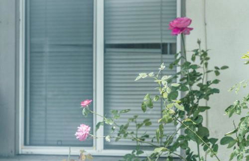 Bright & Cozy Getaway-10min to Downtown LA - Foto 3