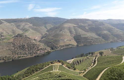 Casa do Feitor - Douro - Quinta da Cabrida - Foto 73