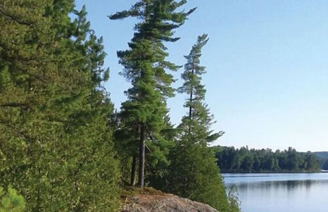 Lodge on the Point - Foto 9