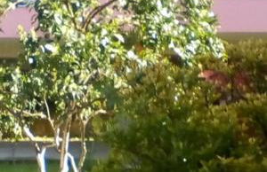 Gouvia House Luxury Apartments - Foto 29