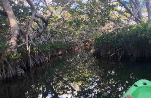 Tiny Home on Waterfront, Bay Views, Deck, Pool - Photo 29