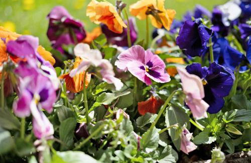 New Teindlhof - Foto 10