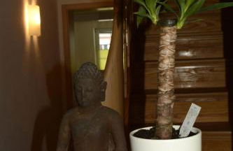 Wellness-Ferienwohnung-EifelErnstbergblick 1 - Foto 7