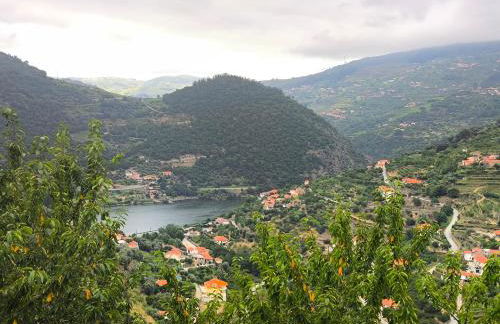 Quinta do Tojo - Foto 63